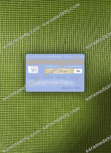 USA Citigroup Bank visa card photolook back